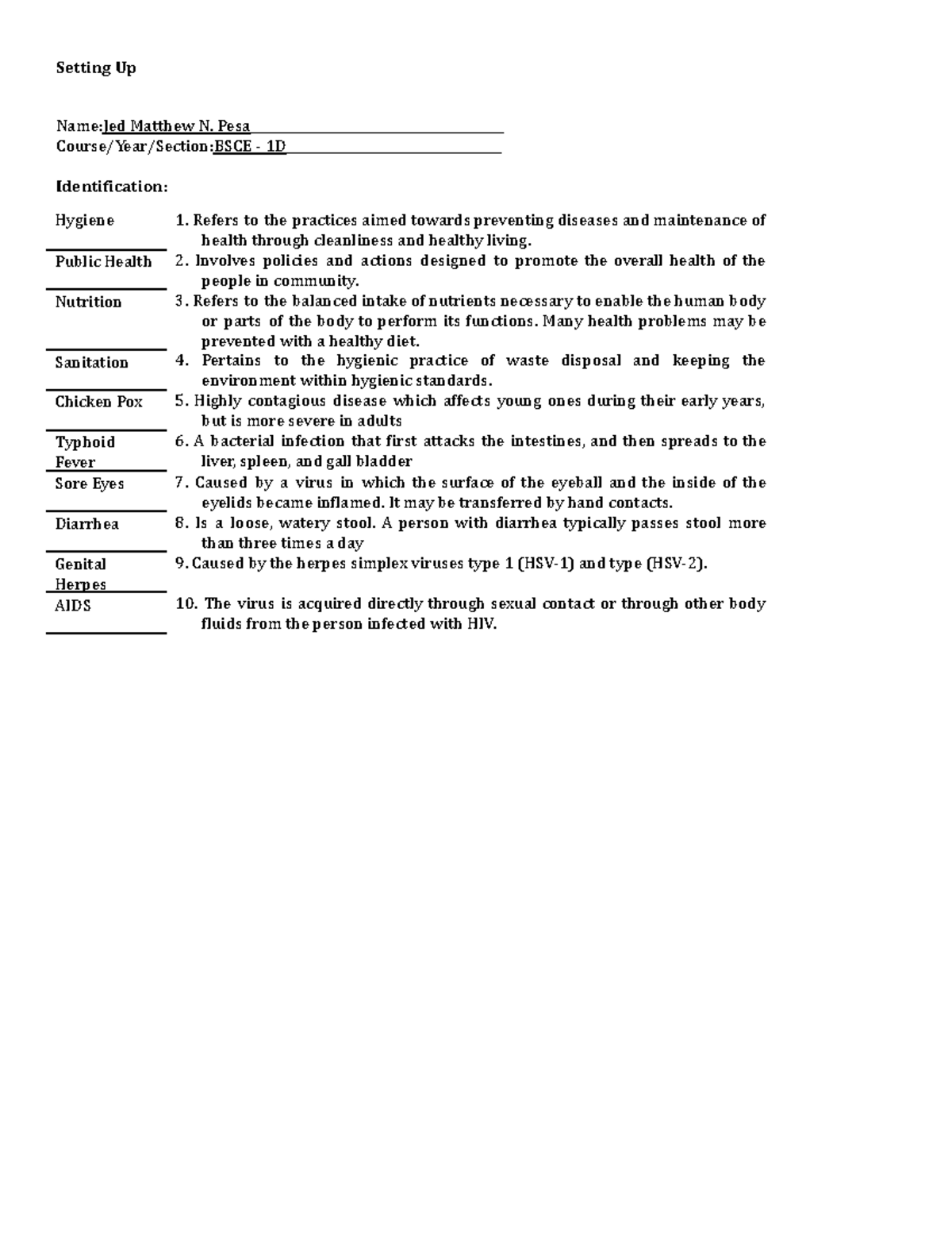 JedMatthewN.PesaNSTPActivity 4 Setting Up NameJed Matthew N