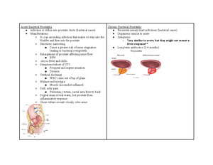 Patho exam 3 study guide - Pediatric Considerations HTN Usually caused ...