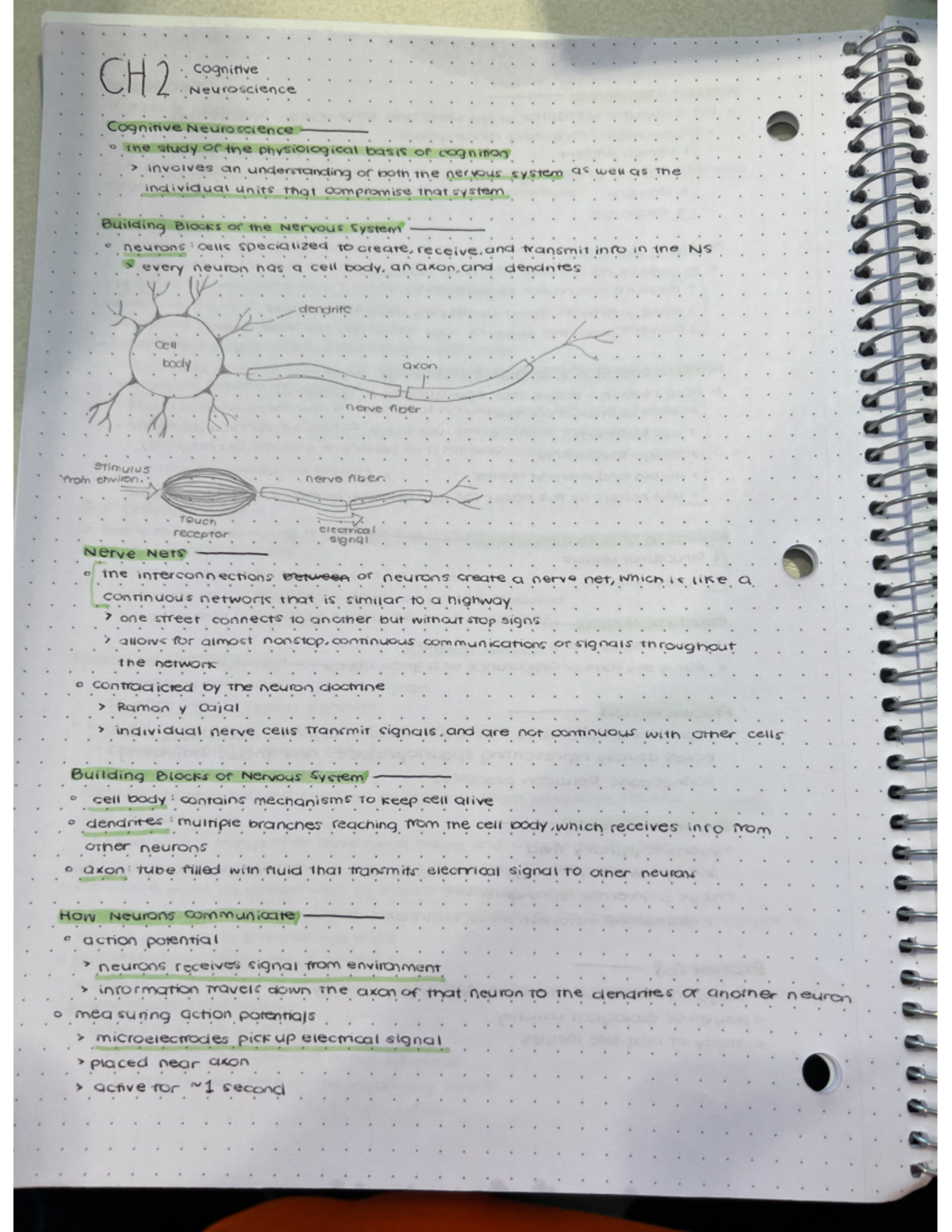 Ch 2 Cognitive Psychology Lecture Notes 1 Psyc 3660 Studocu