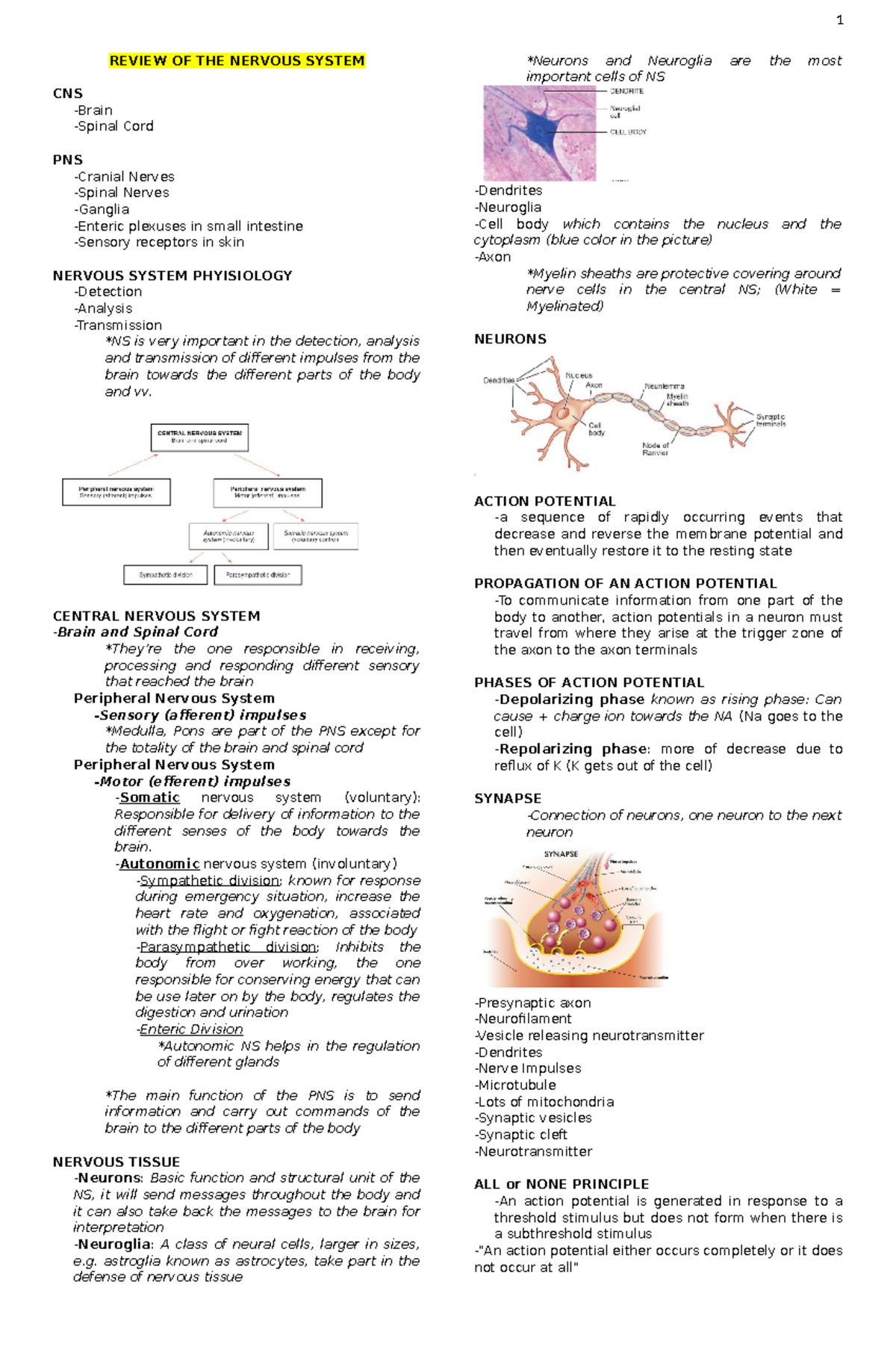 NCM-116-s - Finals - REVIEW OF THE NERVOUS SYSTEM CNS -Brain -Spinal ...