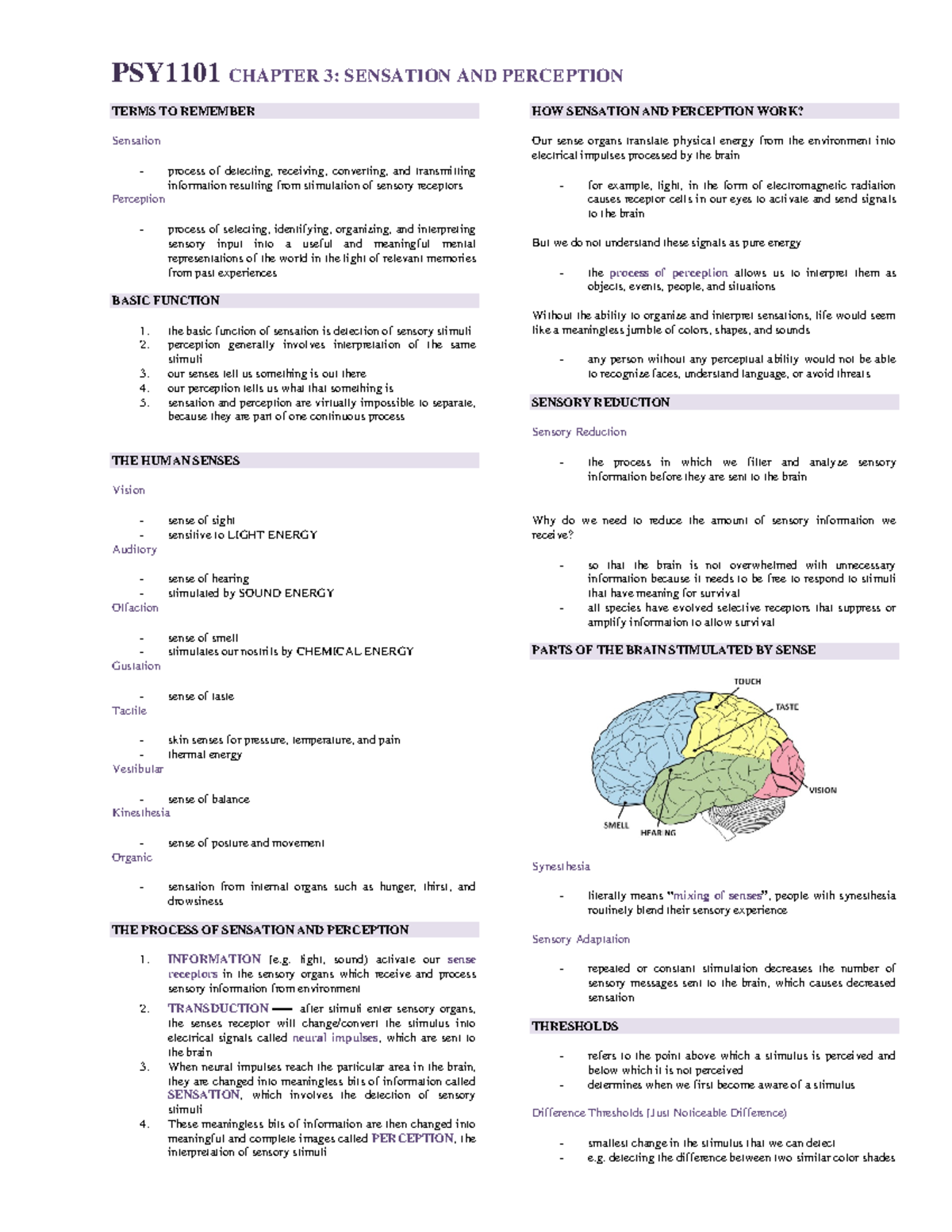 Sensational and perception - PSY1101 CHAPTER 3: SENSATION AND ...