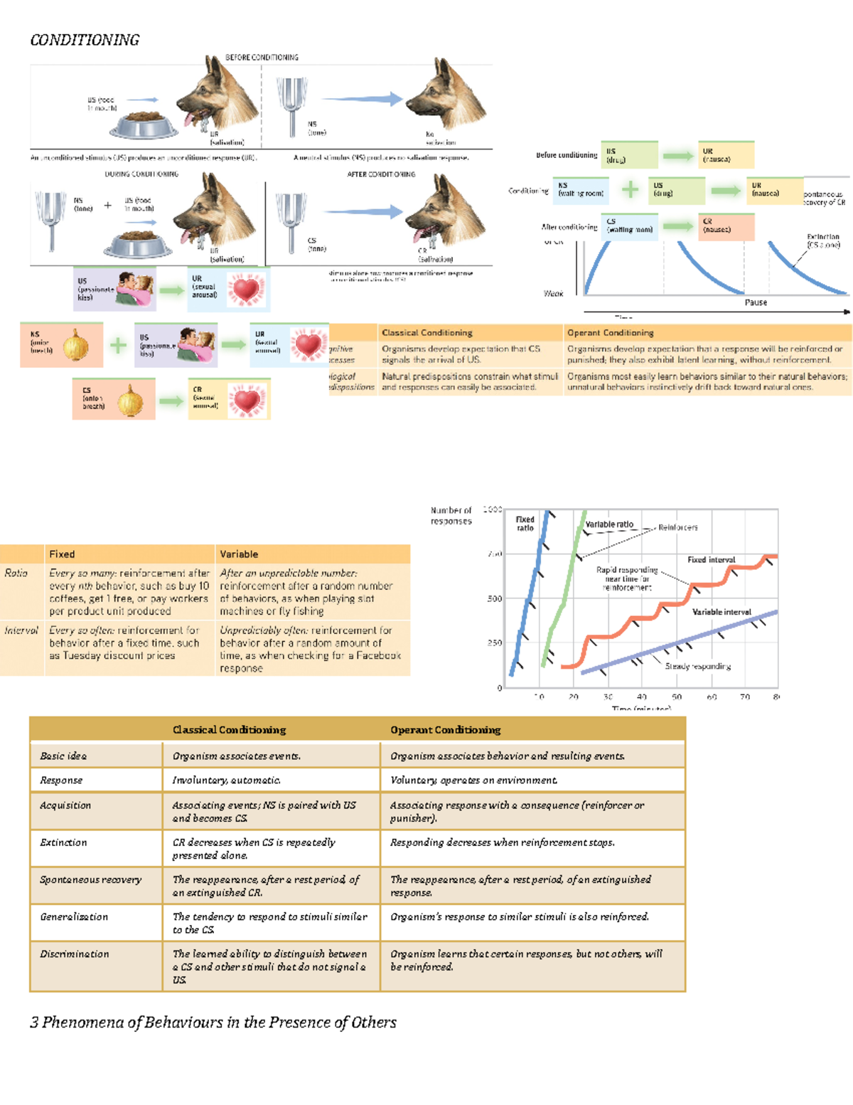 Diagrams for Test 2 - CONDITIONING Classical Conditioning Operant ...