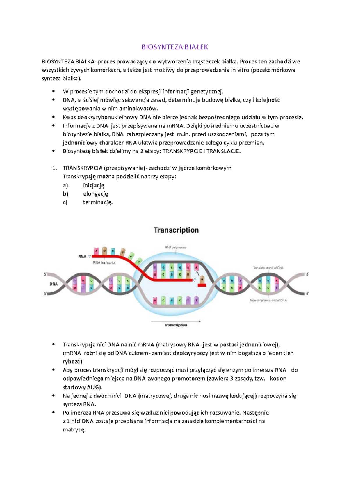 Biosynteza BIAŁEK - Biologiczne Podstawy Rozwoju - BIOSYNTEZA BIAŁEK ...