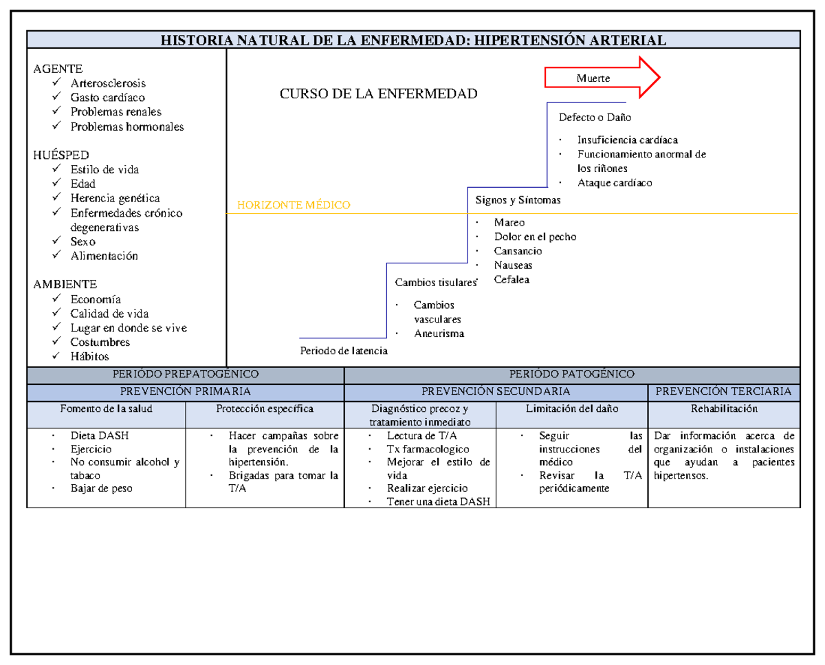Historia Natural DE LA Enfermedad Hipertensión Arterial - HISTORIA