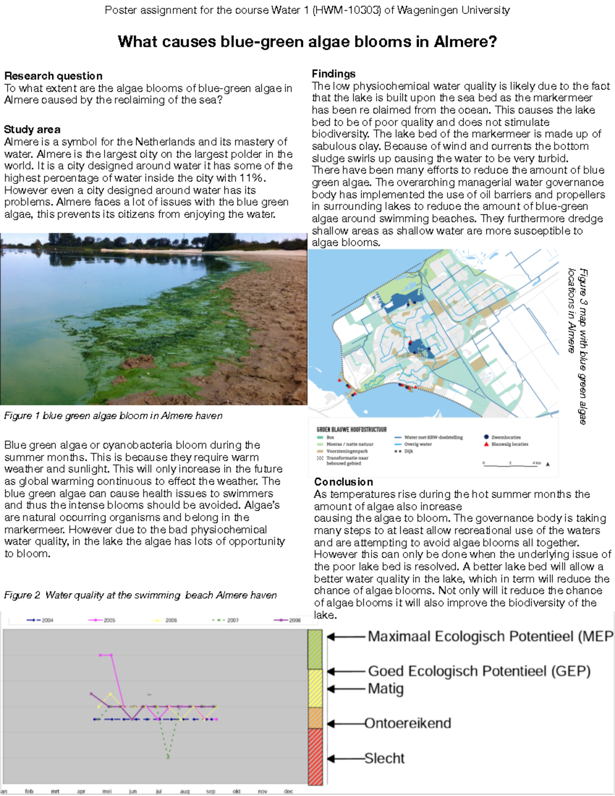 AlmereBlue green algea What causes bluegreen algae blooms in Almere
