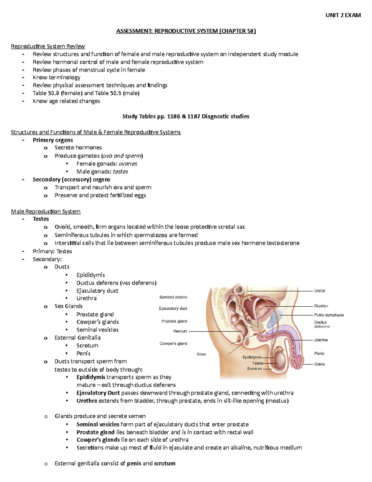 CH 50 - Repro System Assessment - UNIT 2 EXAM ASSESSMENT: REPRODUCTIVE ...