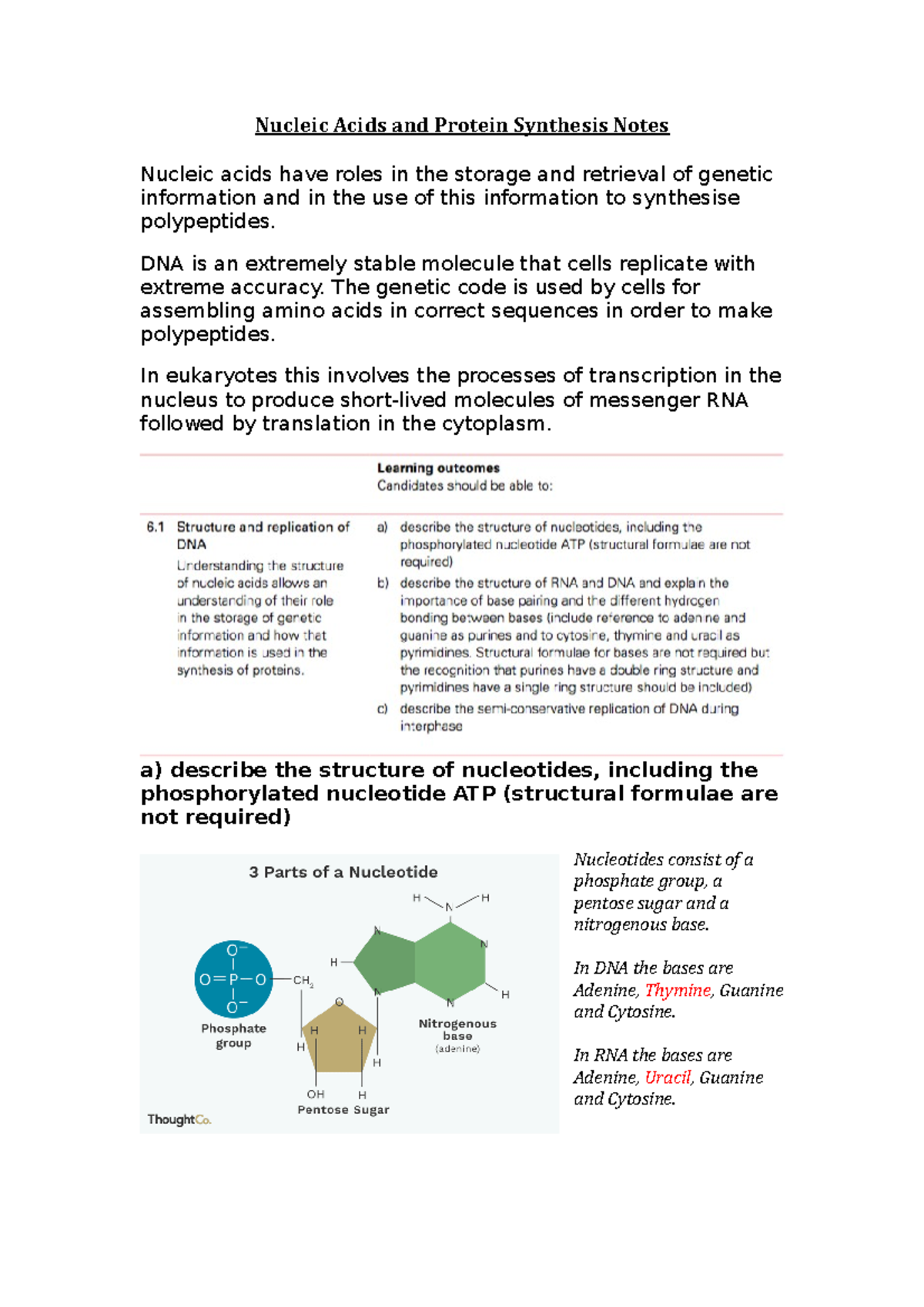Nucleic Acids and Protein Synthesis Notes DNA is an extremely stable