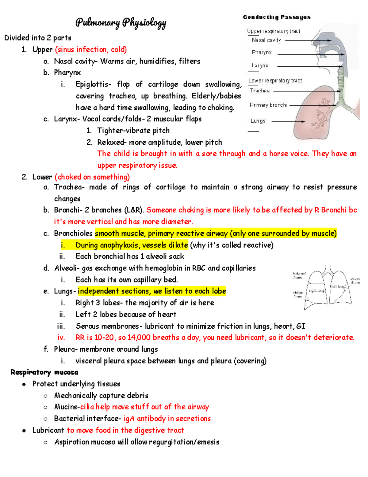Patho exam 3 review - ooo - Pulmonar Phsiolog Divided into 2 parts 1 ...