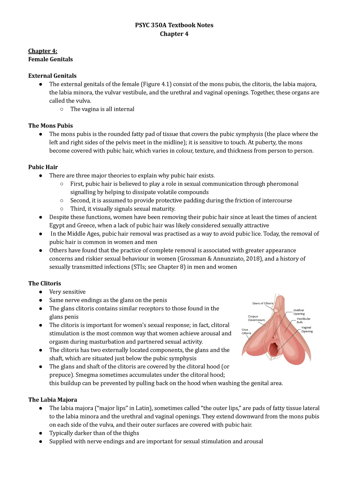 PSYC 350A Textbook Notes Chapter 4 - Chapter 4 Chapter 4: Female Genitals  External Genitals ○ The - Studocu