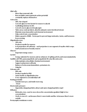 Intro To Biopsychology Notes - What Is Biopsychology: - Study Of ...