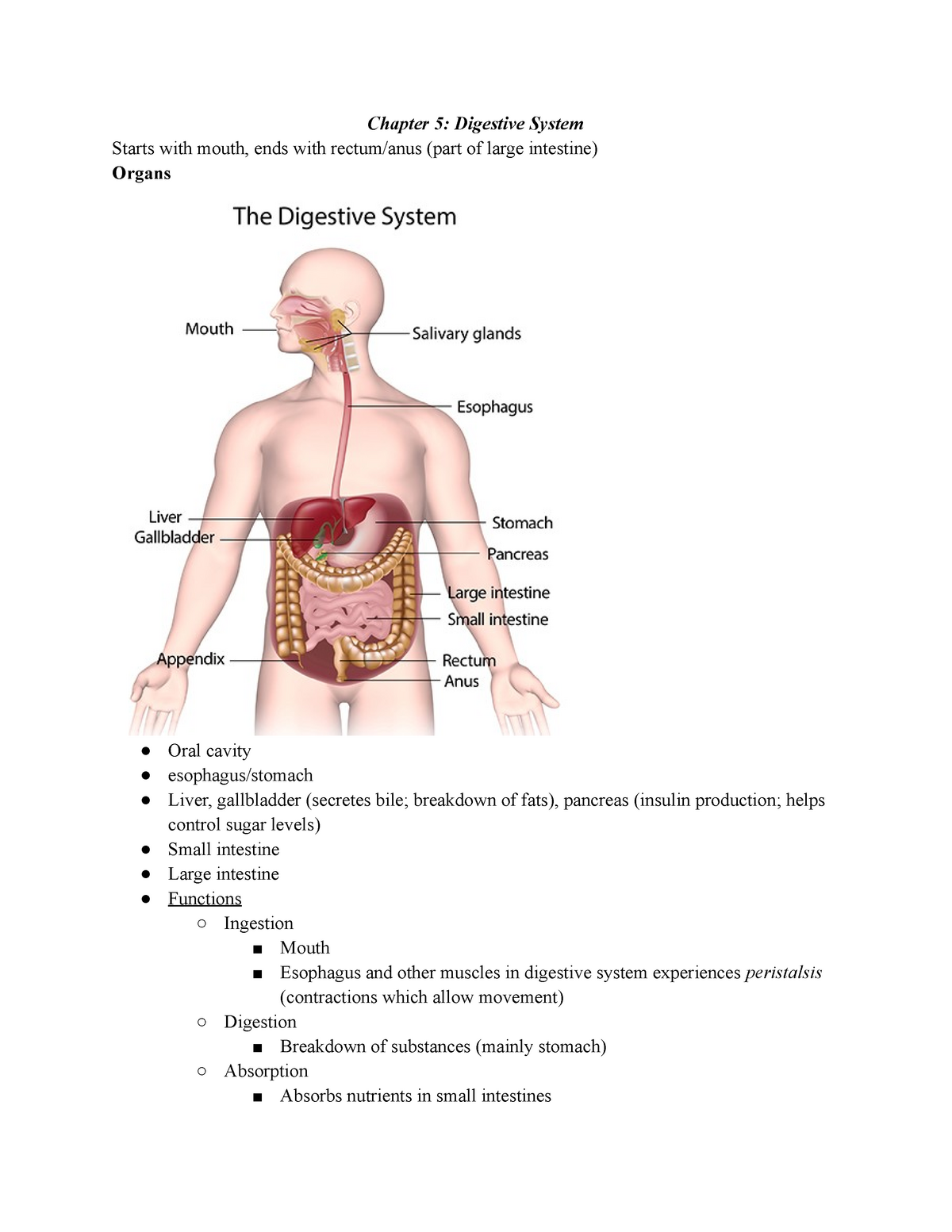 Mmsc200 Chapter 5 Notes Studocu