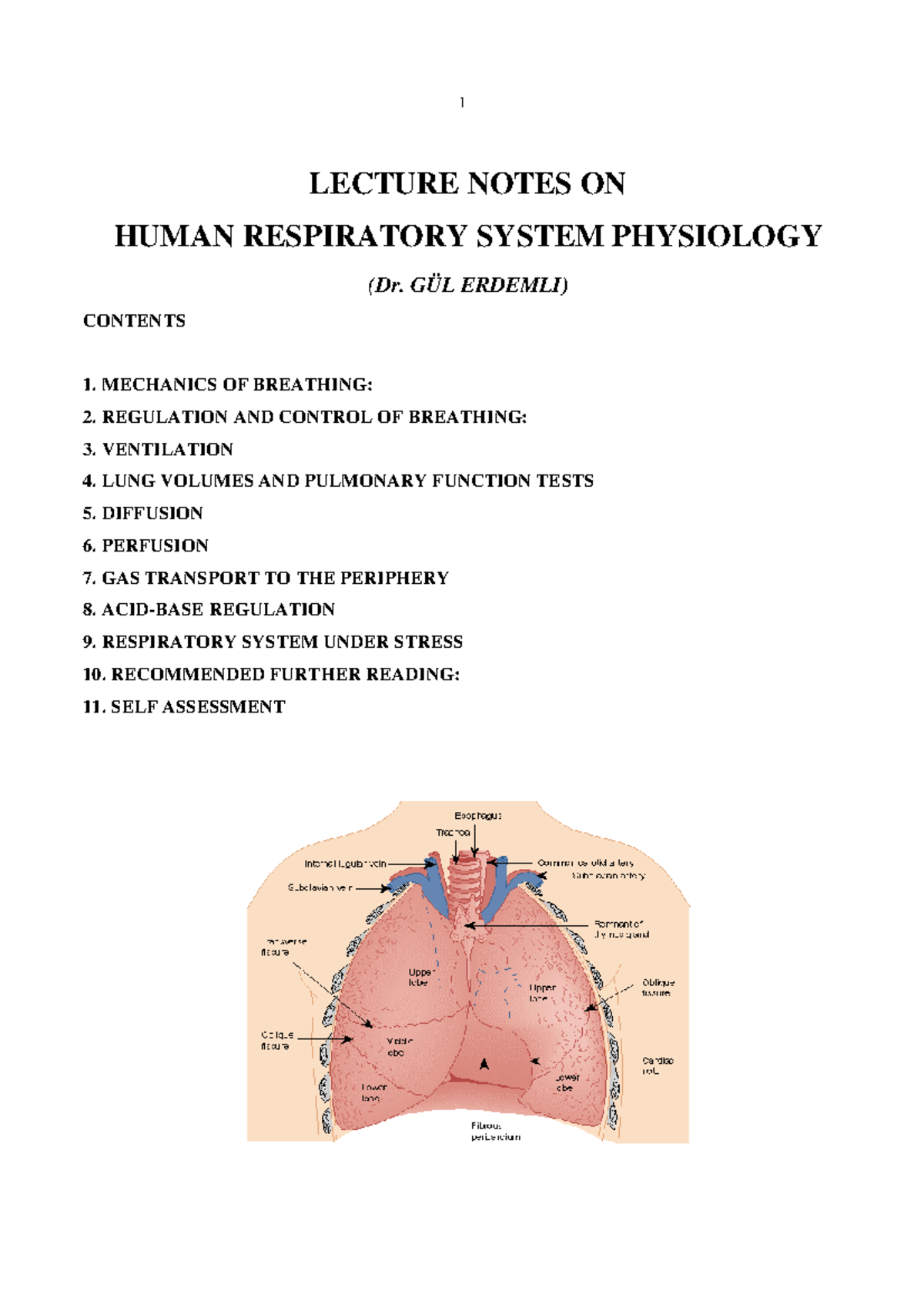 Lecture notes on human respiratory system - LECTURE NOTES ON HUMAN ...