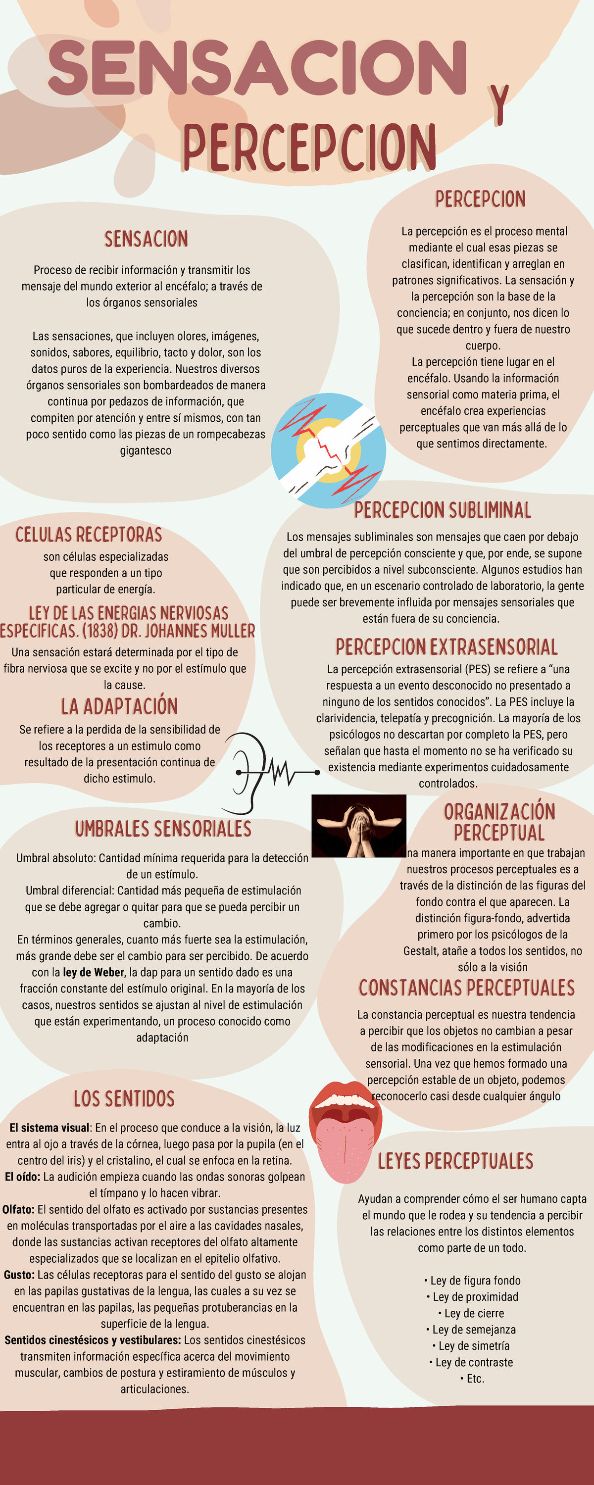 Infografía De Sensación Y Percepción - LOS SENTIDOSLOS SENTIDOS ...