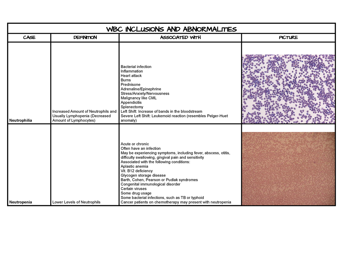 WBC Inclusions and Abnormalities - WBC inclusions - WBC INCLUSIONS AND ...