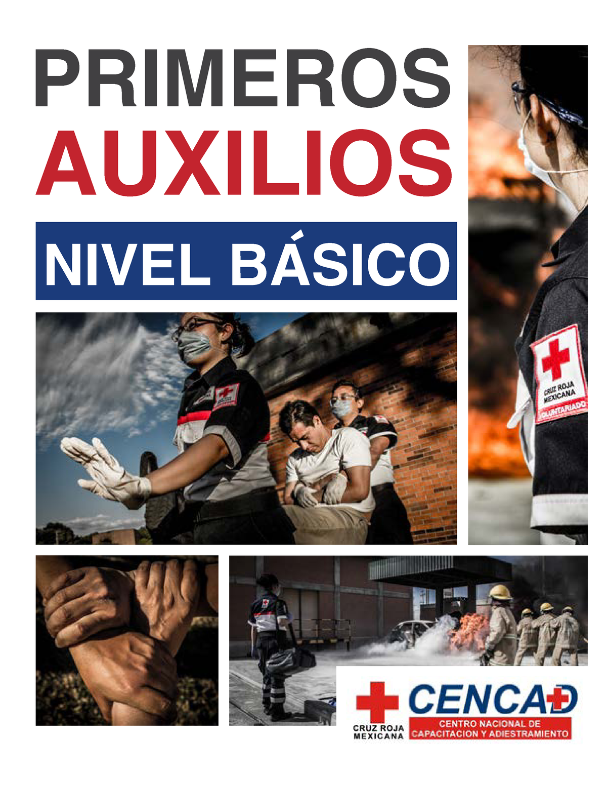 Manual De Primeros Auxilios - PRIMEROS AUXILIOS NIVEL BASICO Humanidad ...