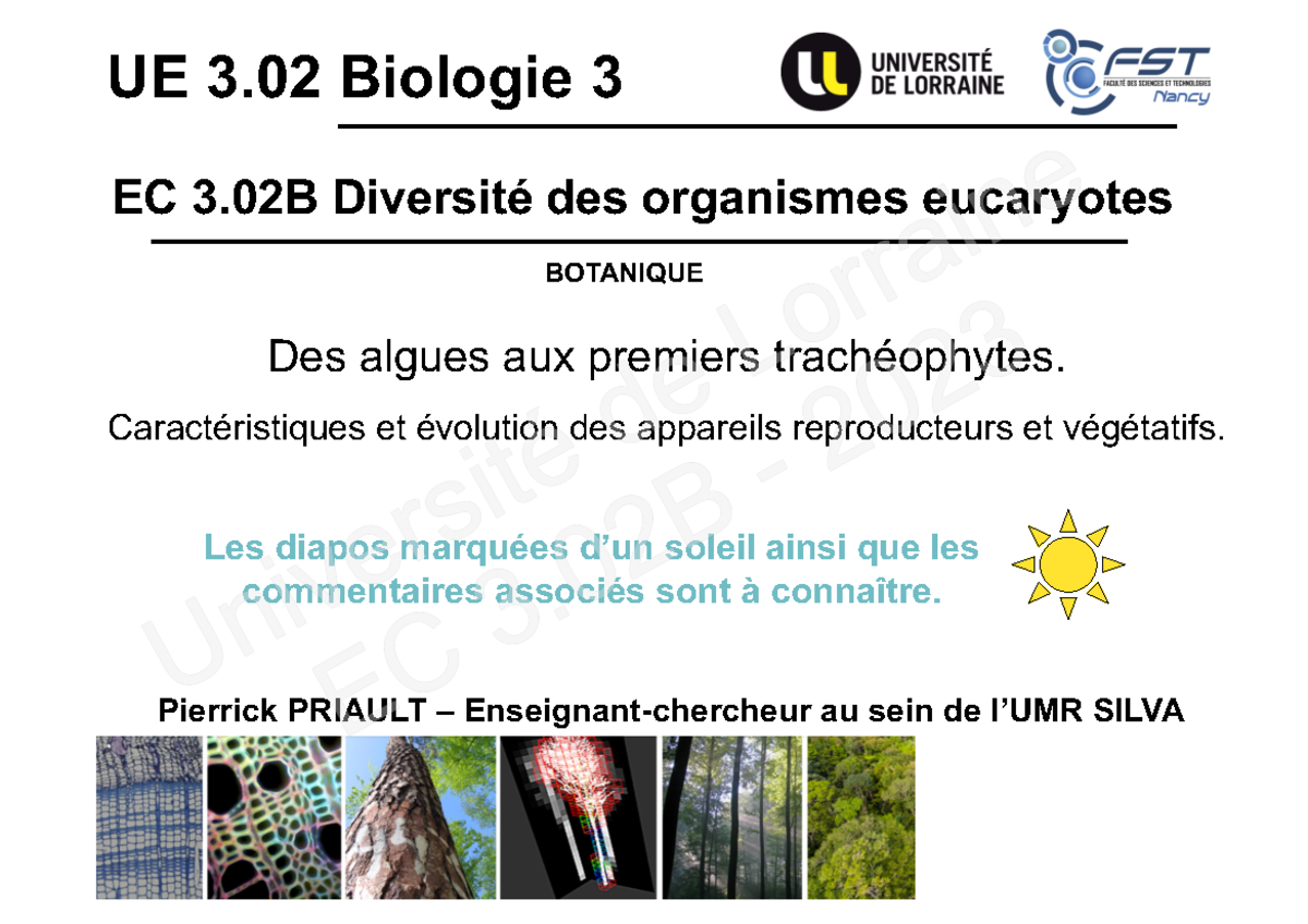 3.02B Bota - CM12 Arche 2023 - EC 3 Diversité des organismes eucaryotes ...