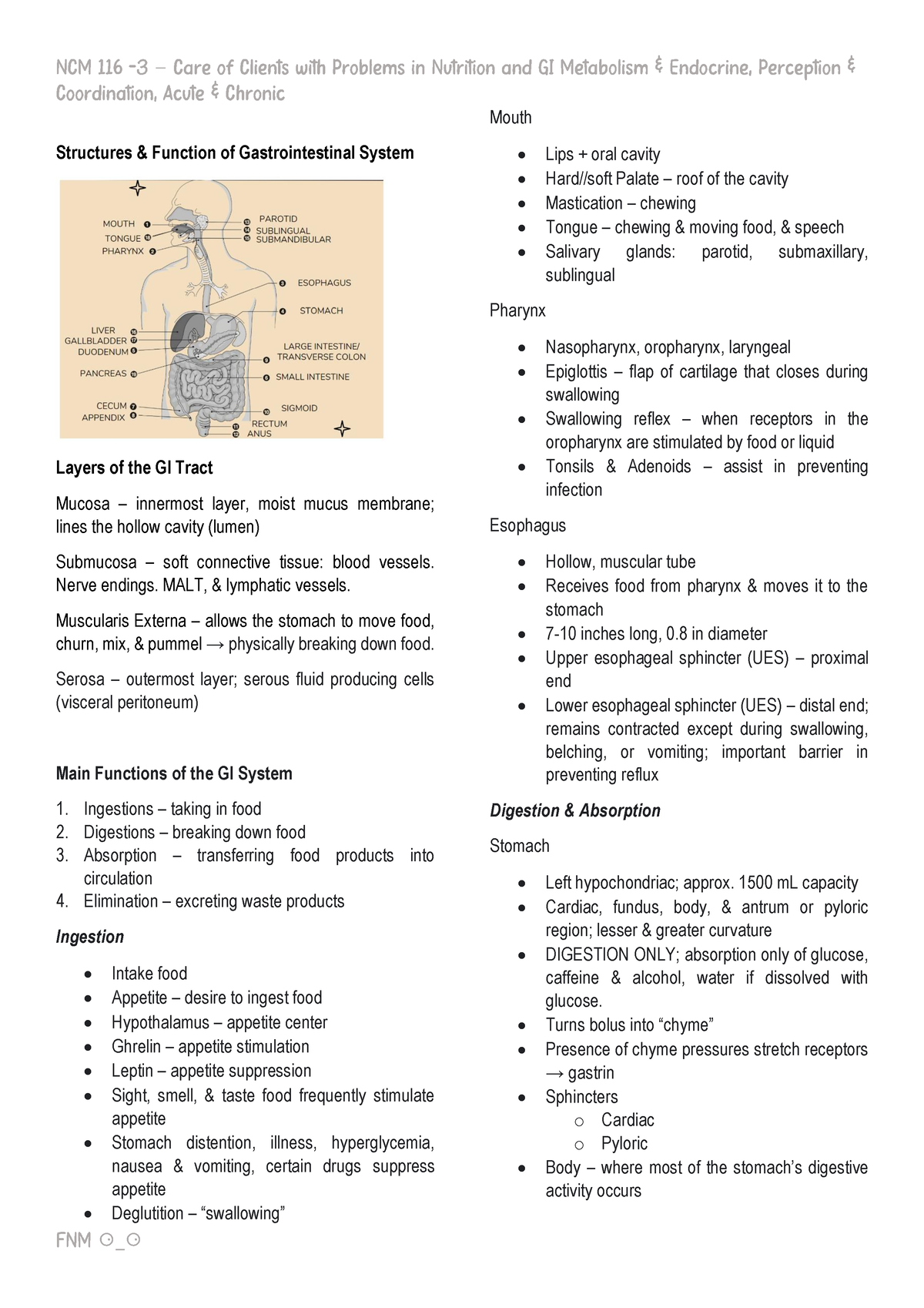 Gastrointestinal System - – ⚆_⚆ Structures & Function of ...