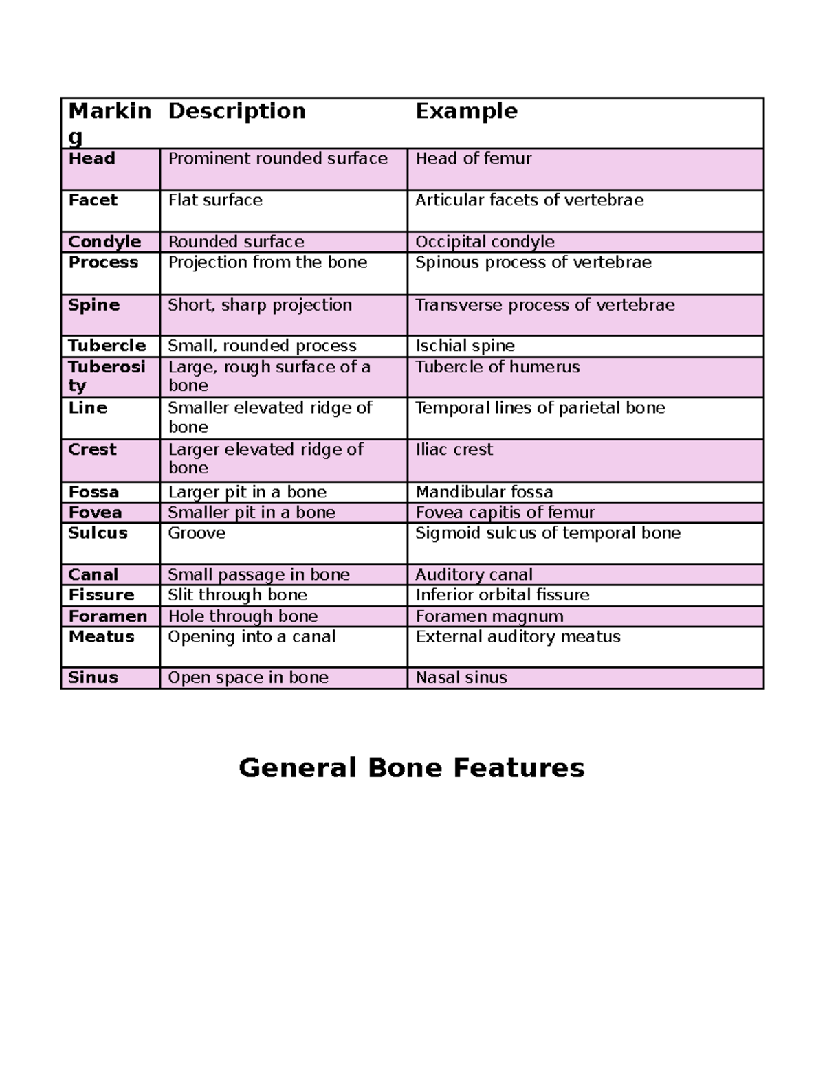 Marking - Anatomy & physiology - Markin g Description Example Head ...
