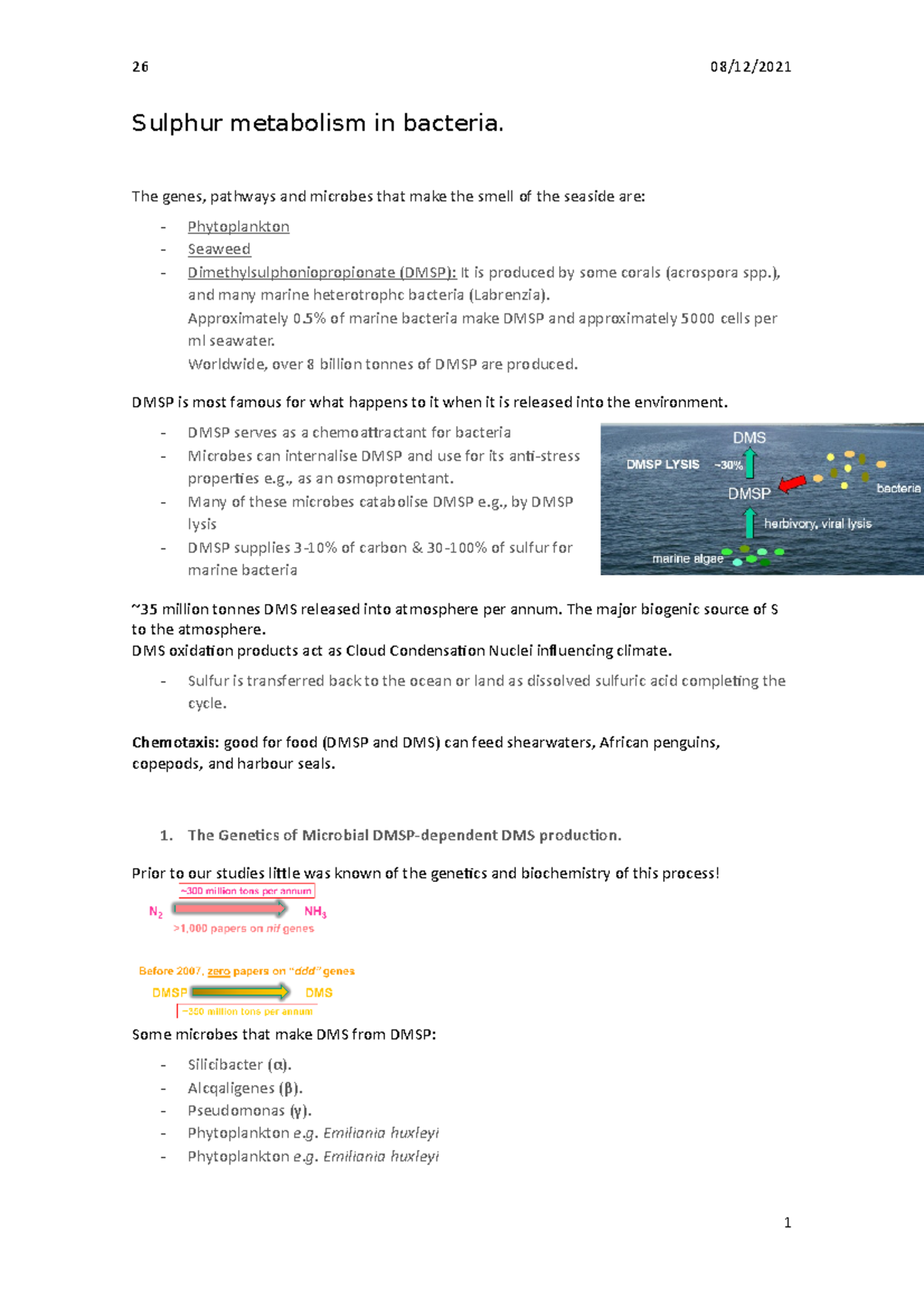 Sulphur metabolism in bacteria The genes, pathways and microbes that