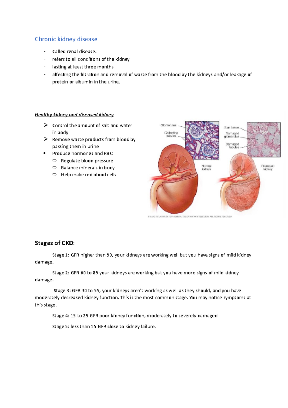 chronic-kidney-disease-refers-to-all-conditions-of-the-kidney