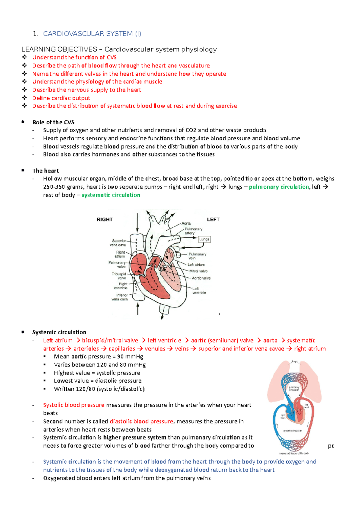 Cardiovascular System I - 1. CARDIOVASCULAR SYSTEM (I) LEARNING ...