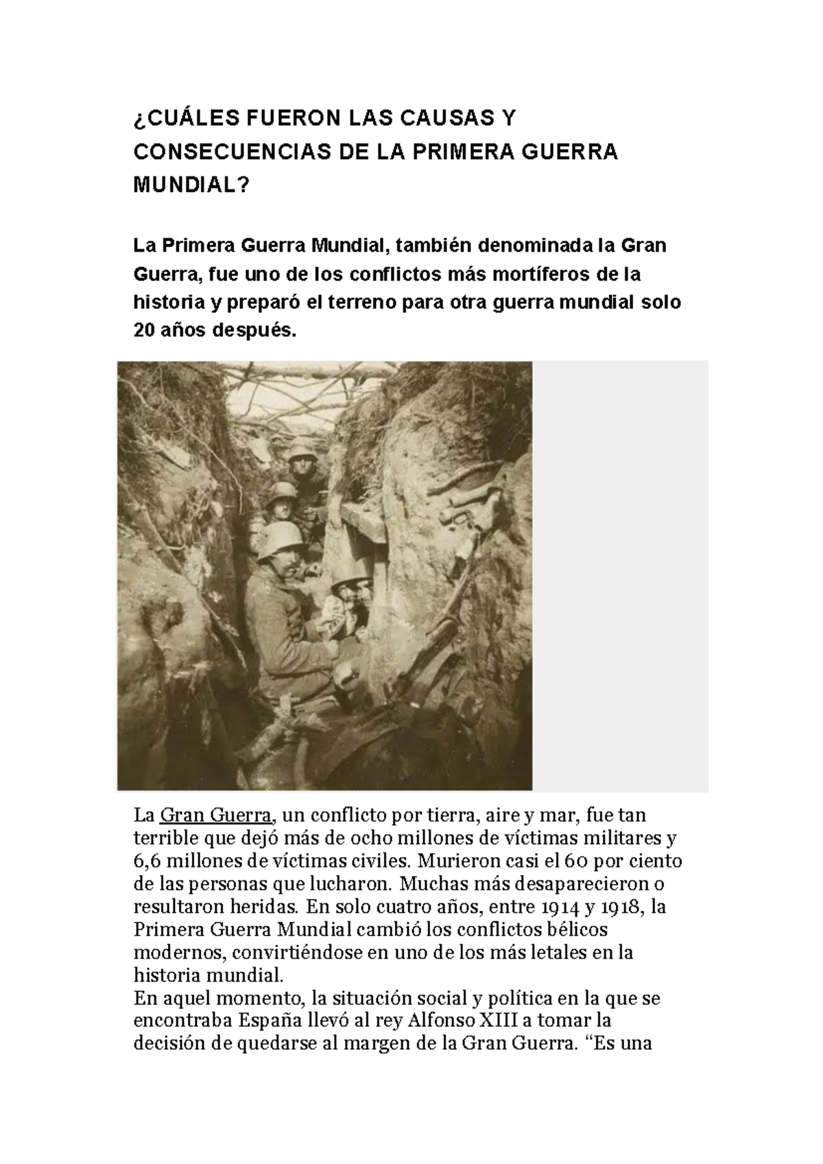 Causas de la primera guerra mundial - ¿CUÁLES FUERON LAS CAUSAS Y ...