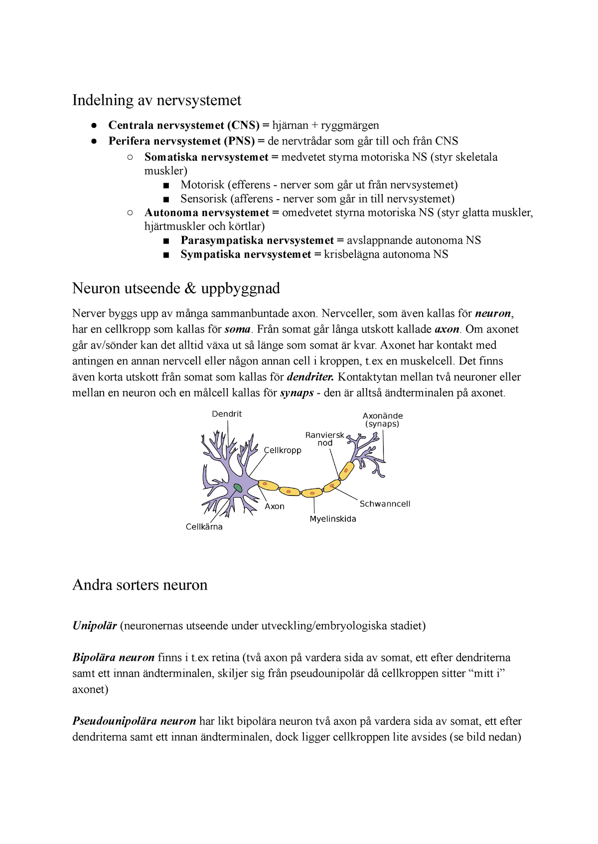 Nervsystemet överblick - Indelning Av Nervsystemet Centrala ...