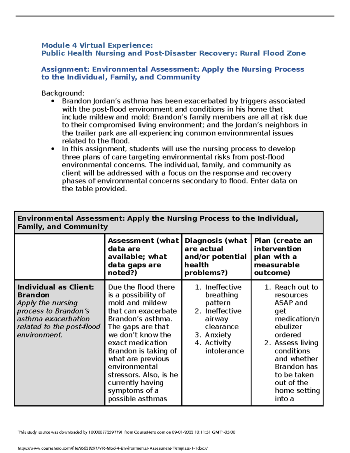 vr-mod-4-environmental-assessment-template-1-1-module-4-virtual