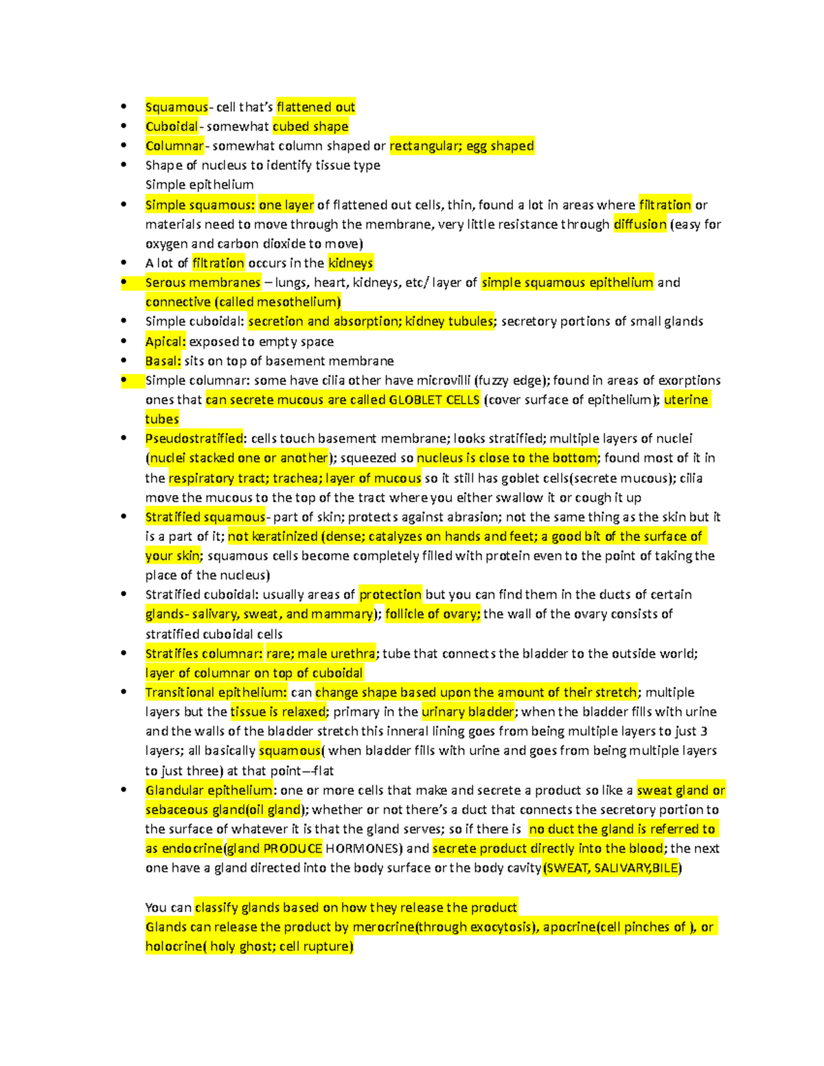 TEST 2 Study Anatomy - n/a - Squamous- cell that’s flattened out ...