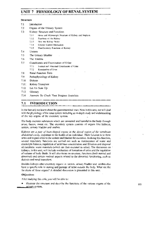 Create Unique Documents Guide - Create 10 Unique Documents: A ...