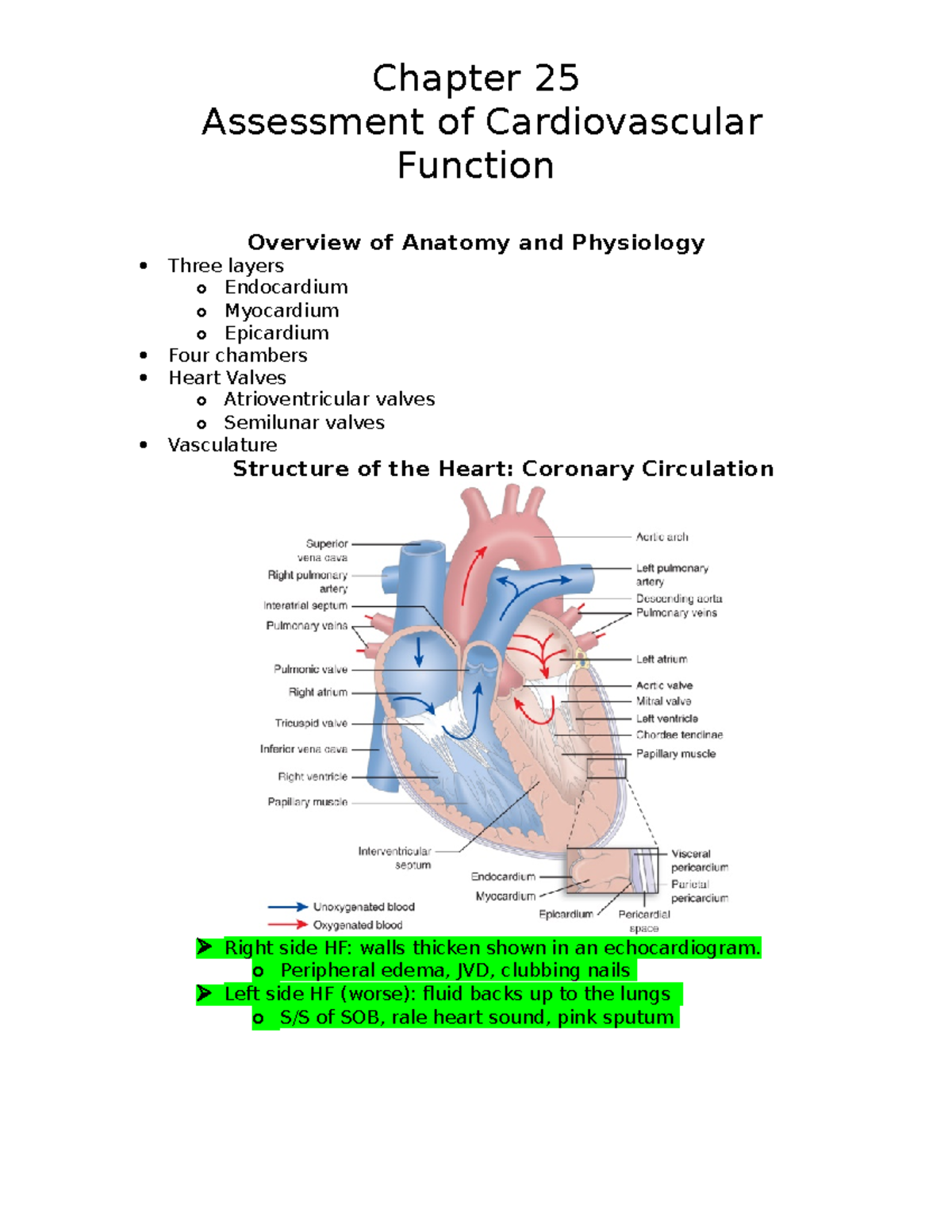 CH.25 WK1 MED-SURG - Cardiac Assessment - Chapter 25 Assessment Of ...