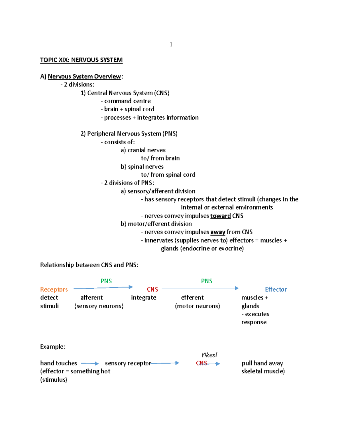 Topic XIX Nervous System - TOPIC XIX: NERVOUS SYSTEM A) Nervous System ...