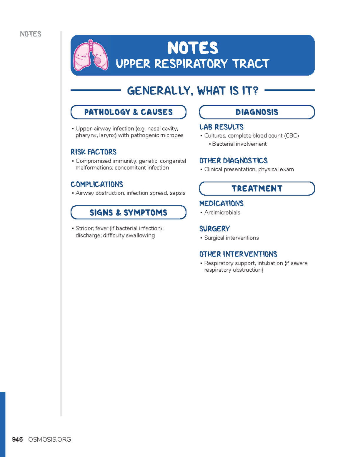 Upper respiratory tract - NOTES NOTES UPPER RESPIRATORY TRACT Upper ...