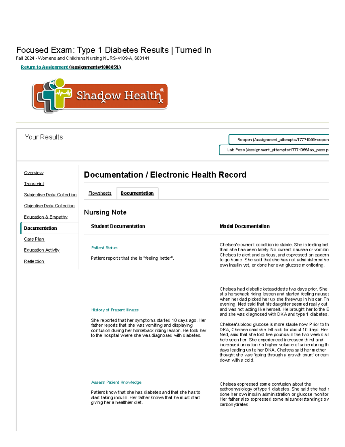 Chelsea Documentation - Focused Exam: Type 1 Diabetes Results | Turned ...