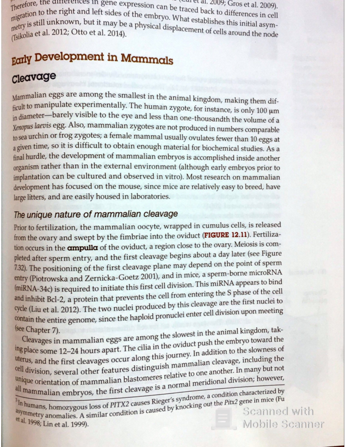 Gilbert Dev Bio pp 391-396 - Microbiology and Immunology - Studocu