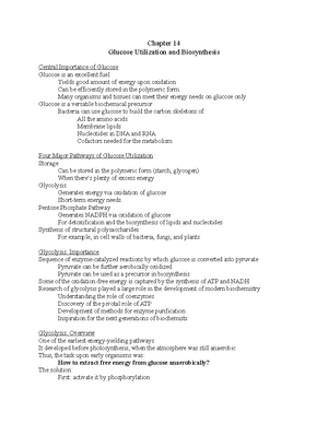 My Lecture Notes Biology - Physiology OF Breathing - PHYSIOLOGY OF ...