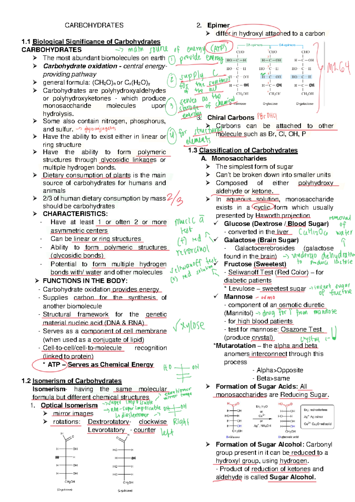 2- Carbohydrates - bio - CARBOHYDRATES 1 Biological Significance of ...