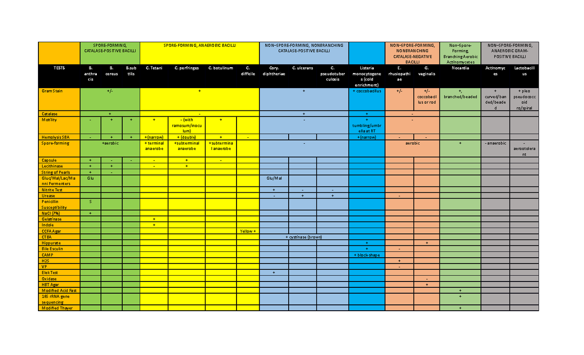 W13BACT Notes - Spore-formers/ non-spore-former - SPORE-FORMING ...