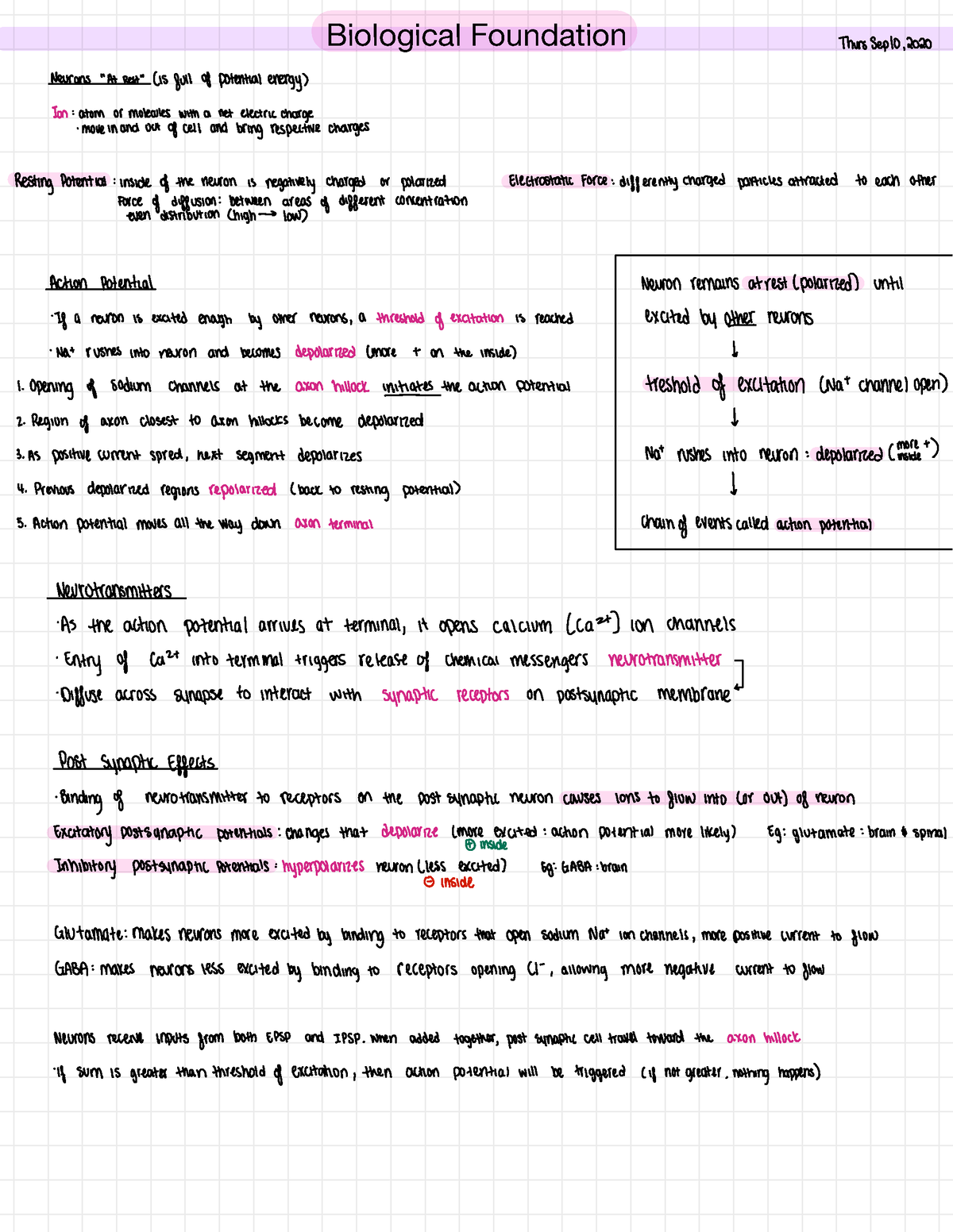 PSY101 - Exam 1 Study Guide Lecture 5 - ####### Biological Foundation ...