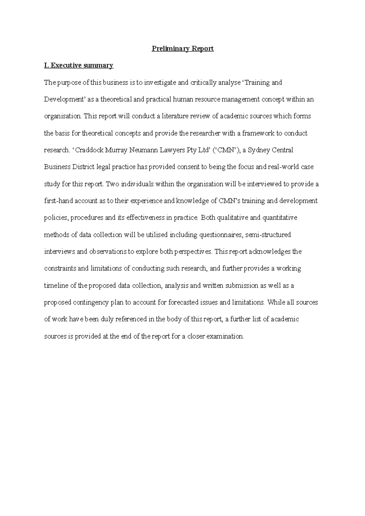 Preliminary Report I. Executive summary - Preliminary Report I ...