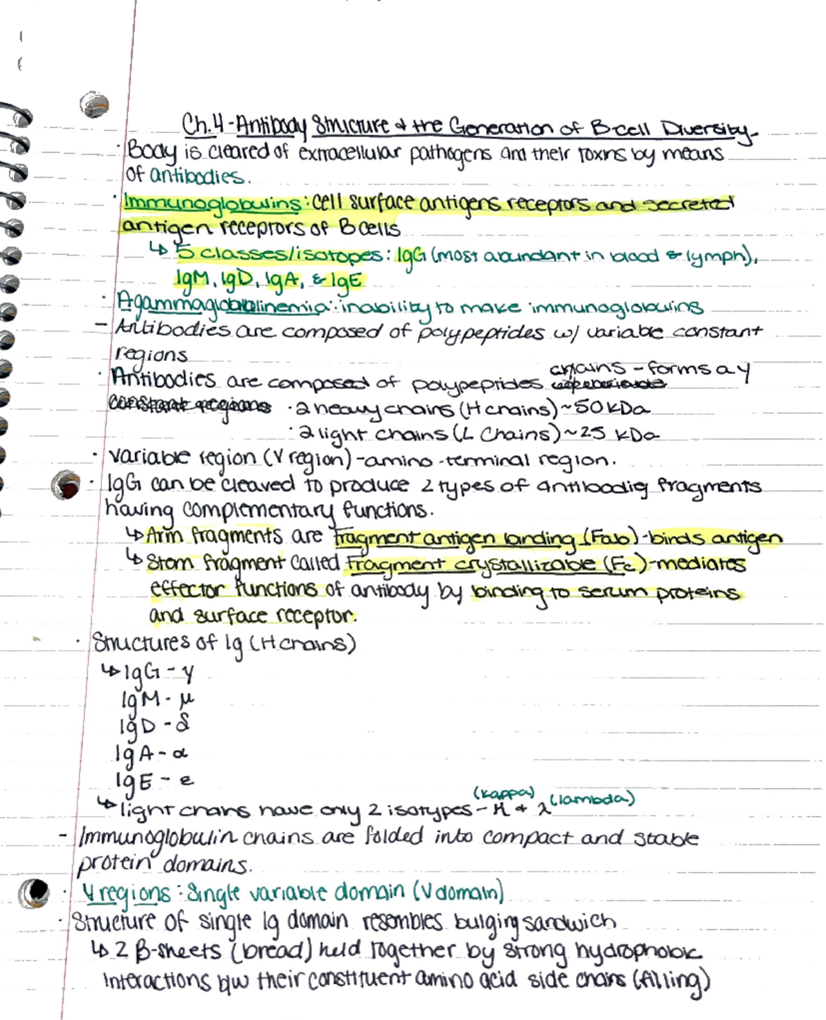 Chapter 4 - Professor - Chris Lantz - BIO 343 - Studocu