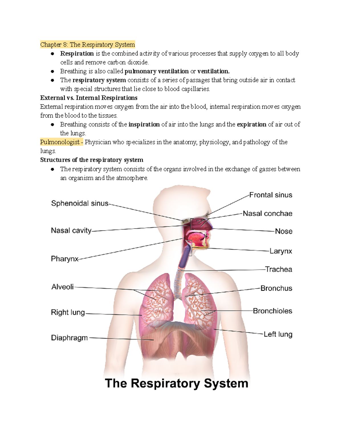 medical terminology chapter 8 assignment