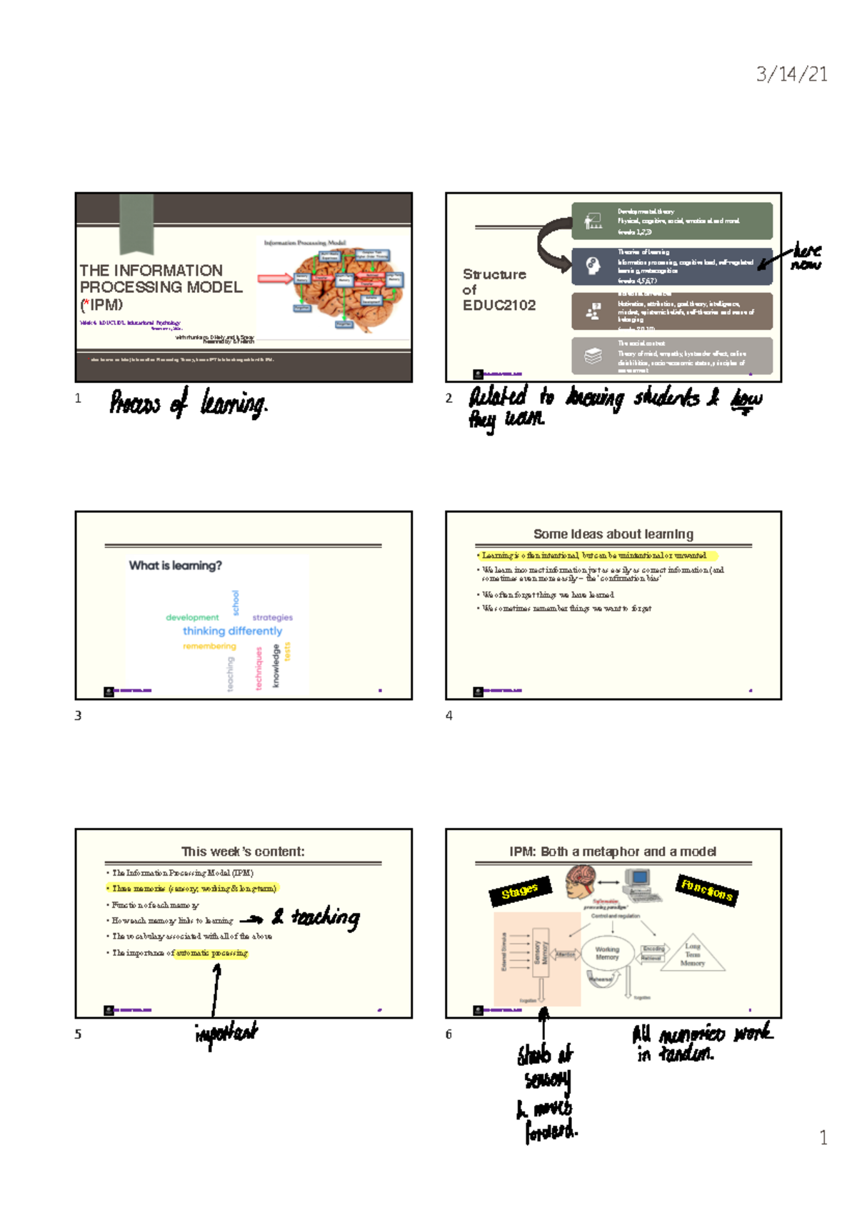Week 4 Lecture - THE INFORMATION PROCESSING MODEL *(IPM) Week 4 ...