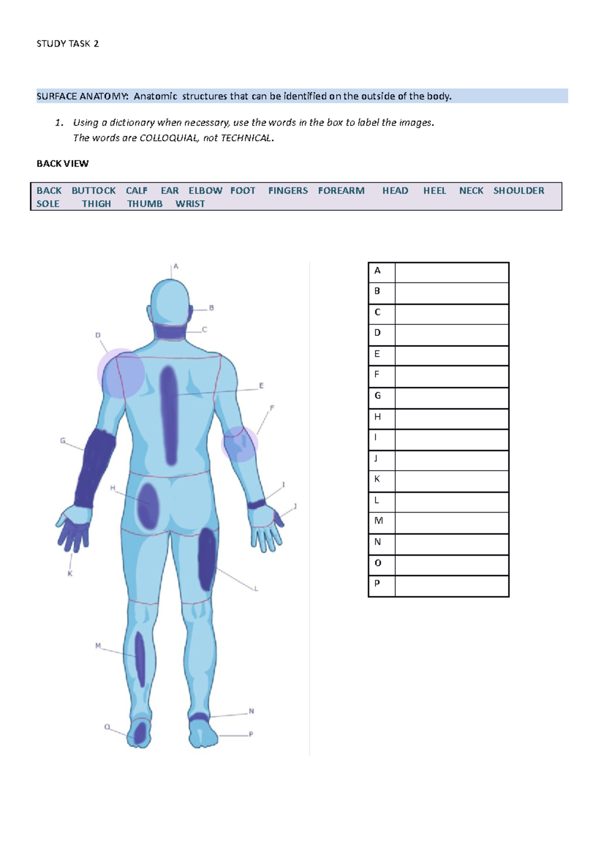 Study TASK 2- Surface Anatomy day 1 2020 - STUDY TASK 2 SURFACE ANATOMY ...