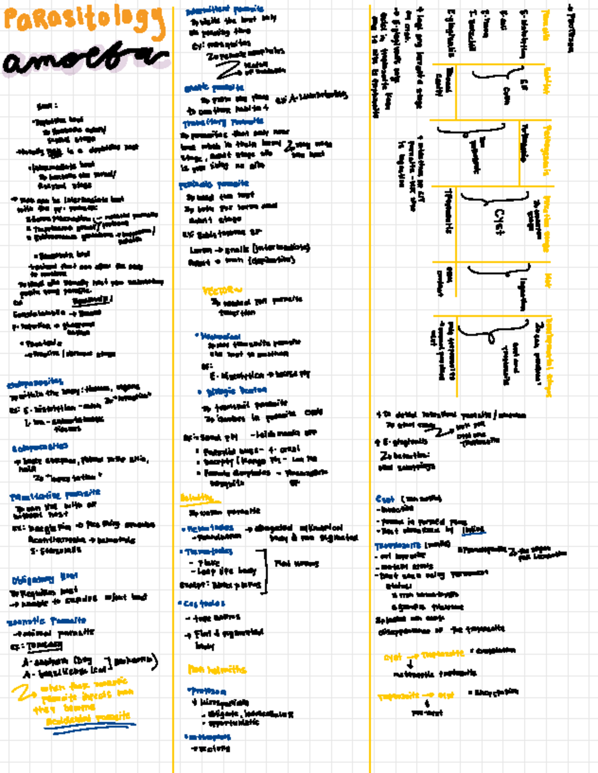 Parasitology Notes - intermittent parasite @ I s * a + q q a -0 ...