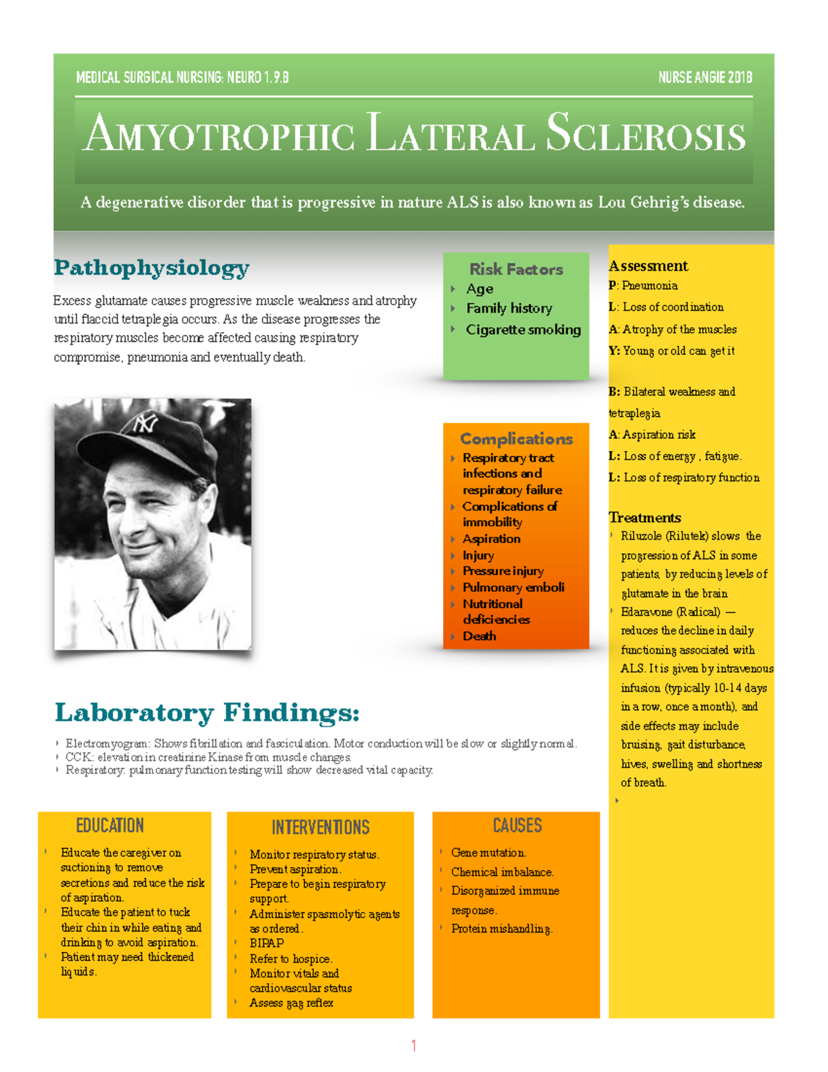 Amyotrophic Lateral Sclerosis - Pathophysiology ####### Excess ...