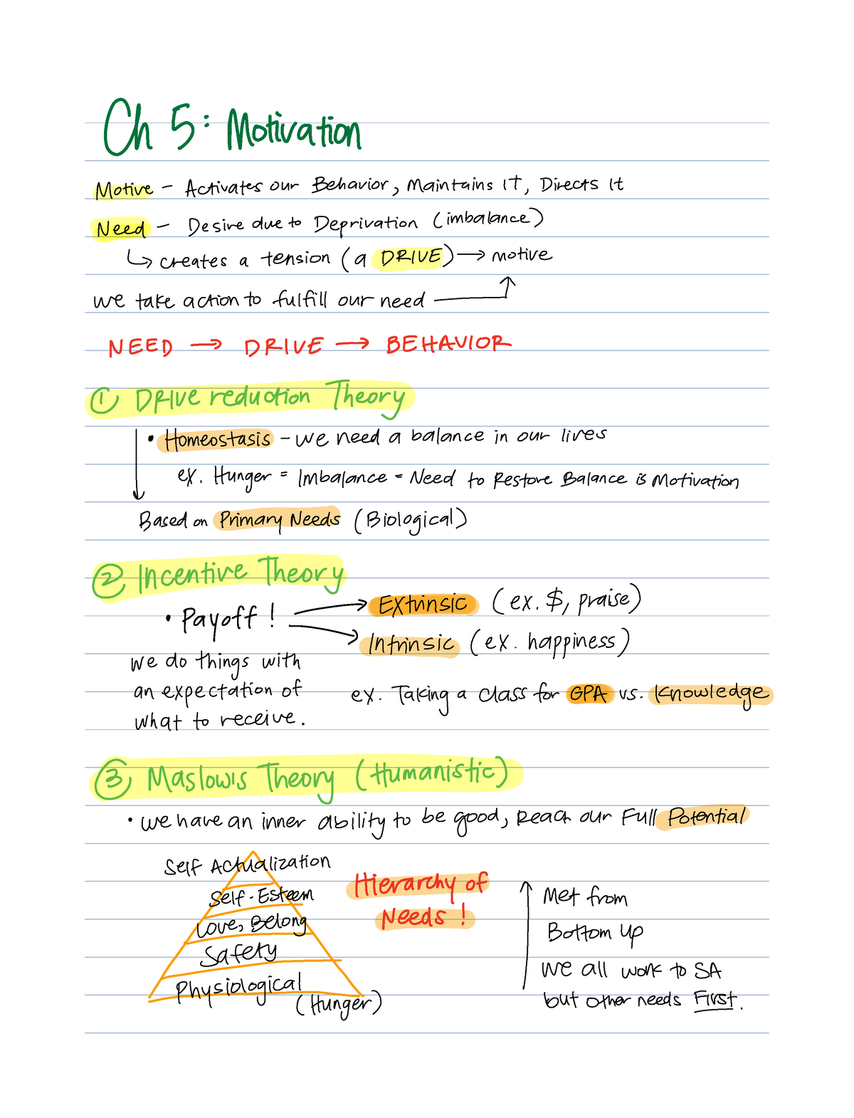 Introduction To Psychology - PSY 1001 - Studocu