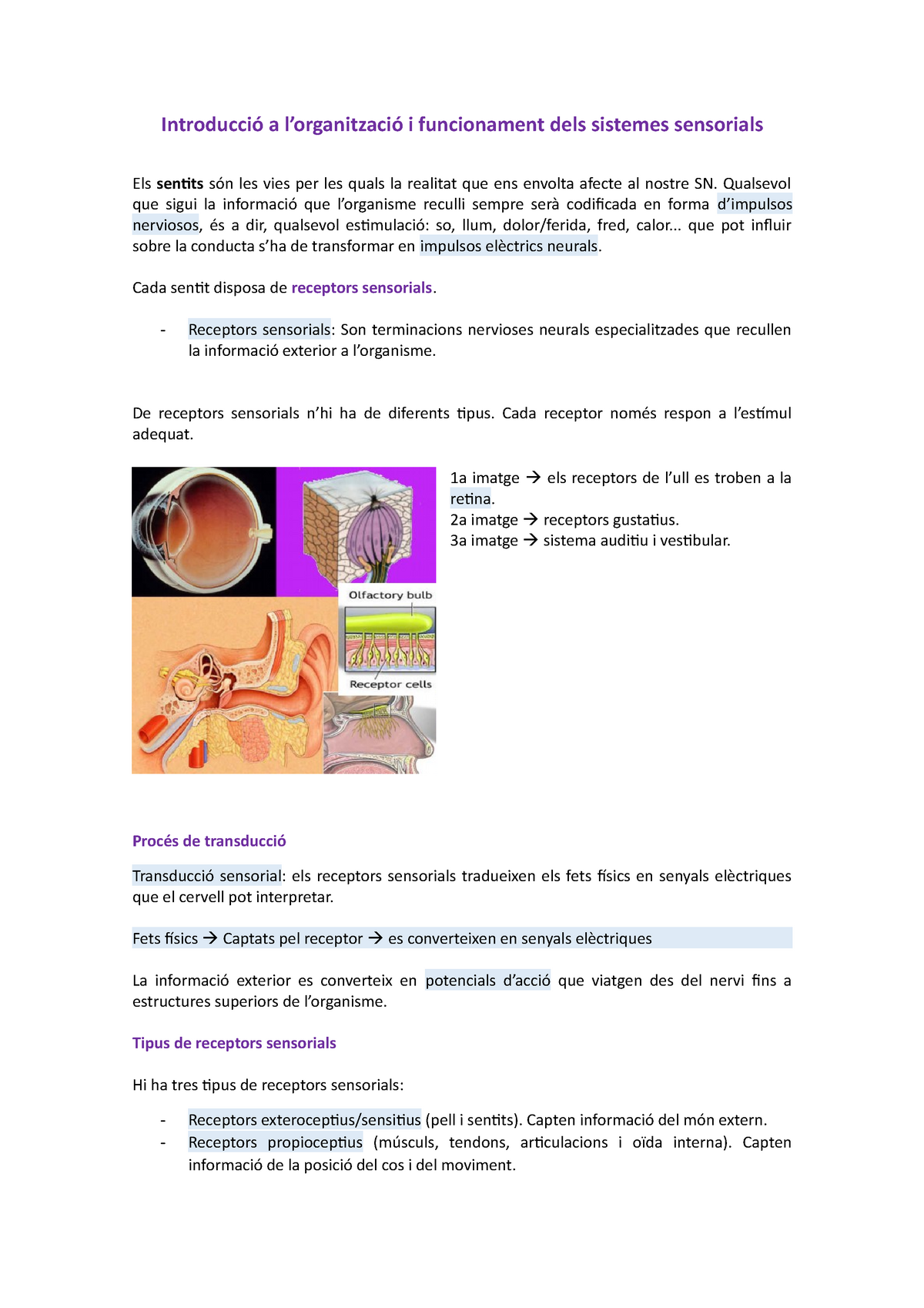 Psicologia Biol Gica I Mat Introducci A Lorganitzaci I