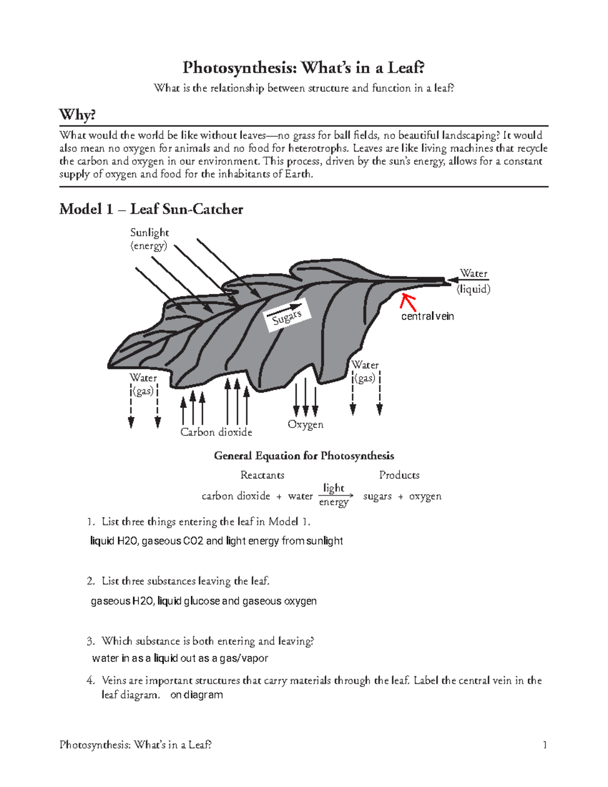 kami-export-cali-b-12-photosynthesis-what-s-in-a-leaf-s-photosynthesis-what-s-in-a-leaf