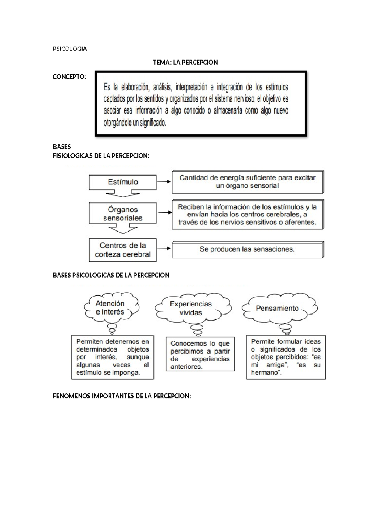 Psicologia LA Percepcion - Psicología Educativa - PSICOLOGIA TEMA: LA ...
